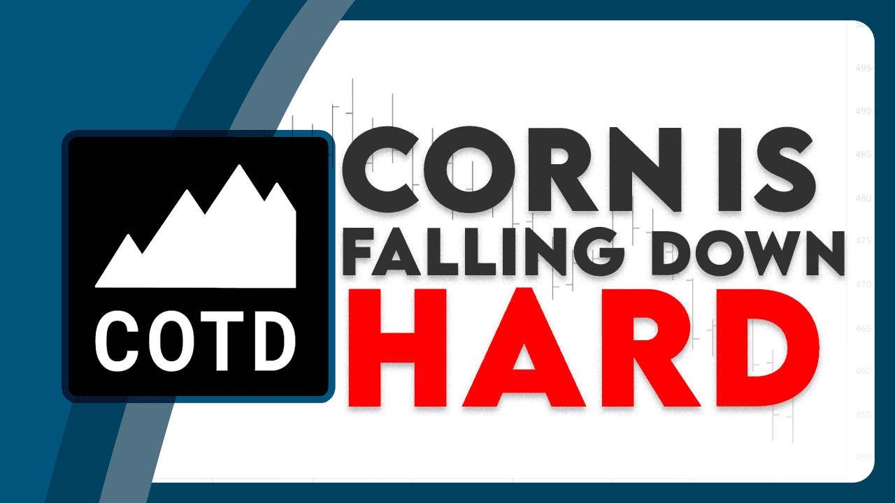 Pattern, Forecast, Outcome: See the Fast Decline in Corn