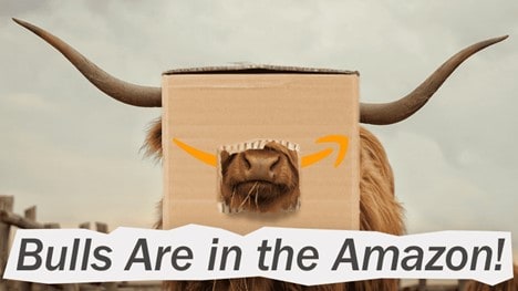 AMZN: The “Sleeping Giant” Has Come Awake… But For How Long?