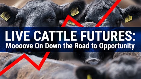If You’re Using “Market Fundamentals” to Forecast Commodities, STOP, DROP and READ This RIGHT NOW