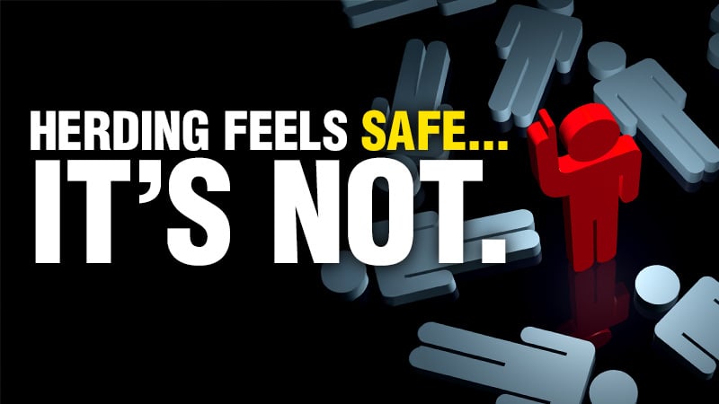 Why You Must Avoid the Herding Trap