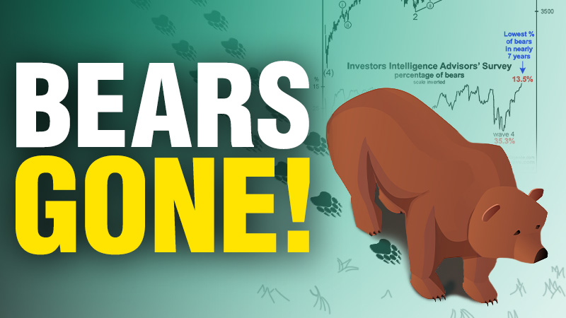 Where Have All the Bears Gone?