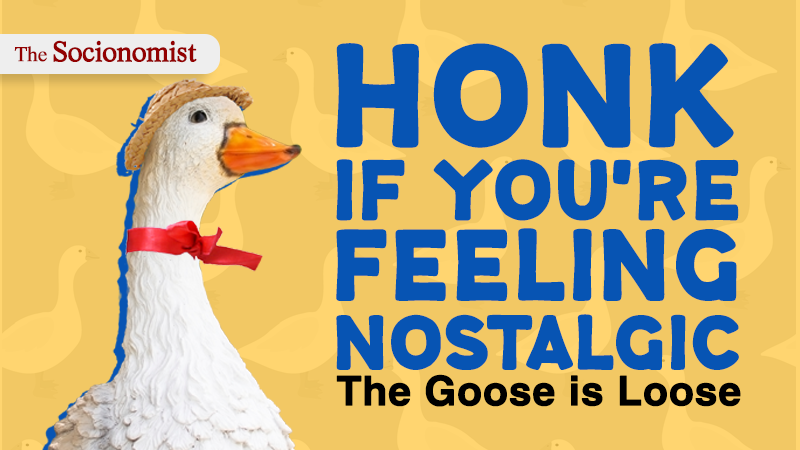 Drugs, Geese & Livin’ Alone