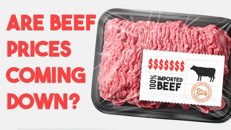 Cattle Prices Are Falling. What Happens Next?