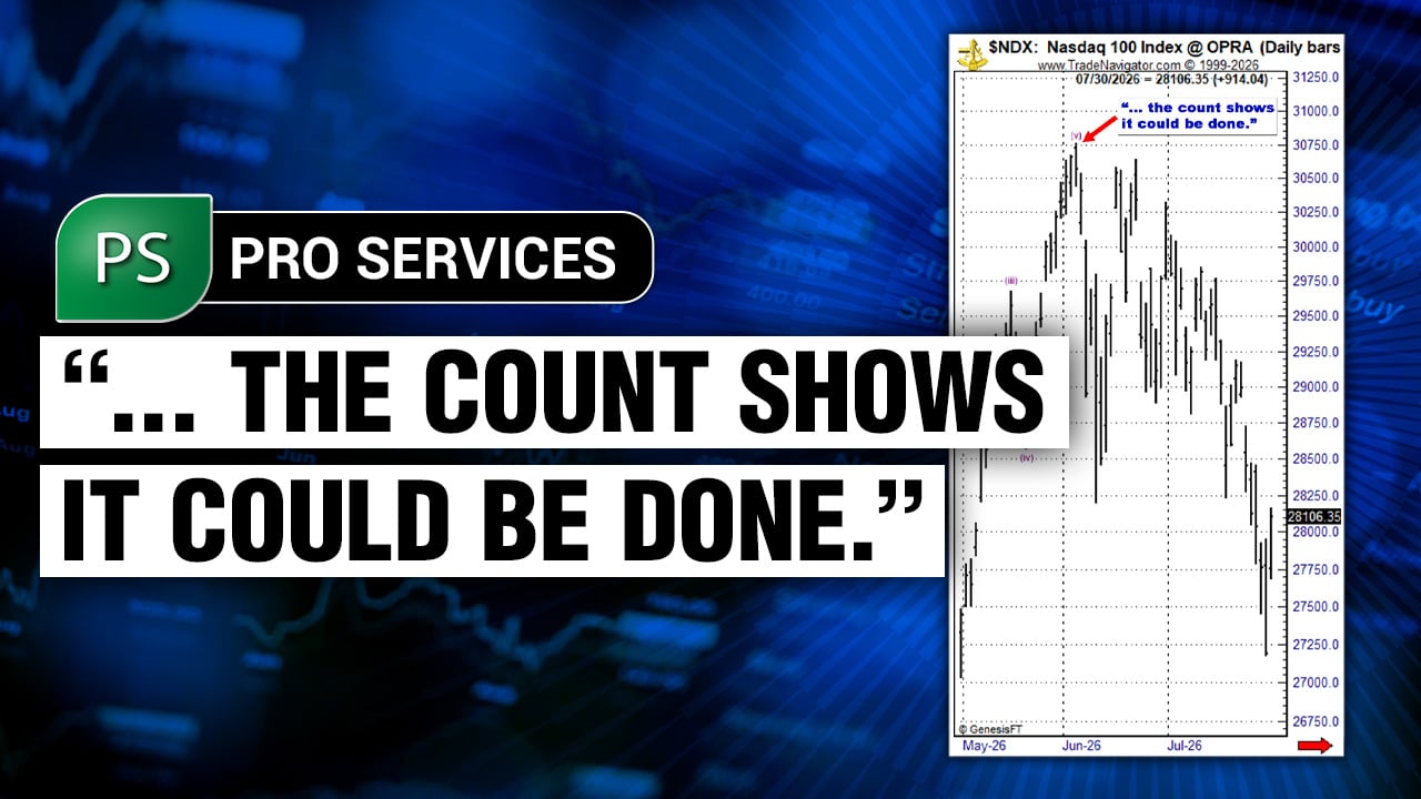 Pro Services Spotted the Nasdaq 100 Top Before a 12% Decline
